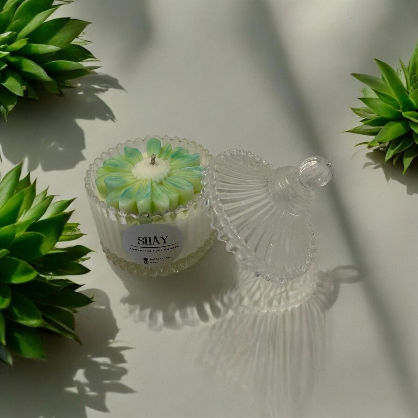 Cupa Crystal Margareta M