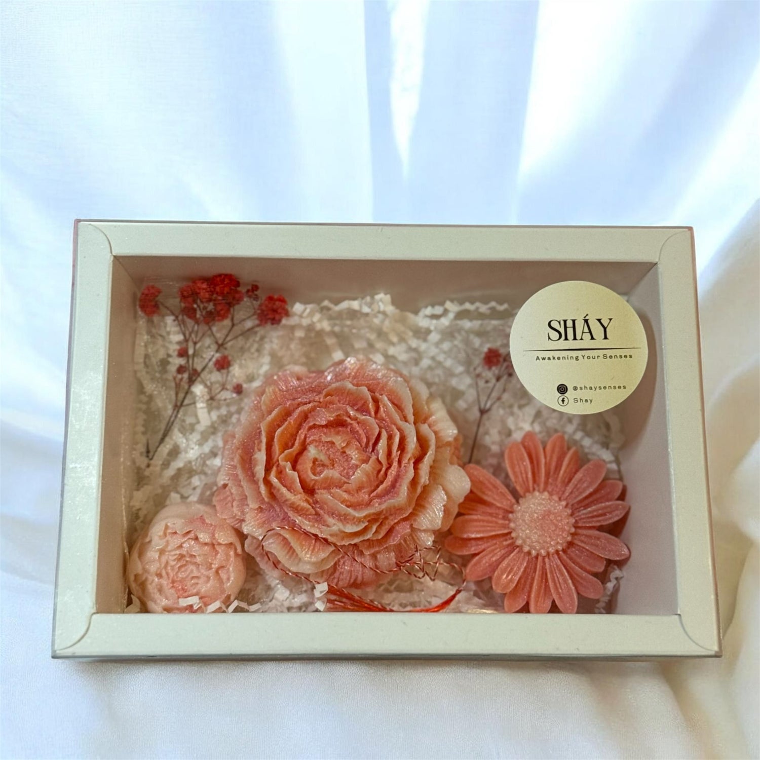 Colectia de Primavara